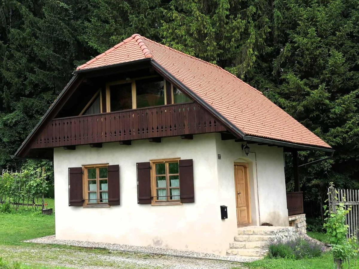Holiday House Apartment Voukov Mlin Smarje pri Jelsah Екстер'єр фото
