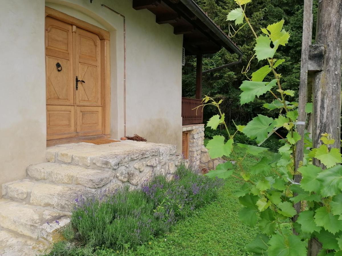 Holiday House Apartment Voukov Mlin Smarje pri Jelsah Екстер'єр фото